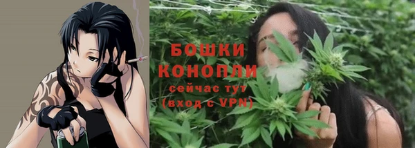 бошки Верхний Тагил