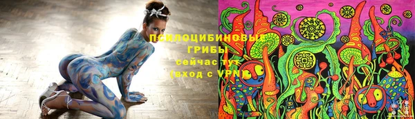 хмурый Гусев