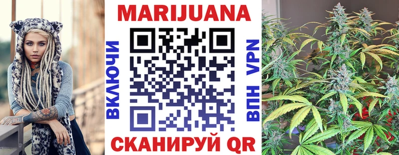 Канабис OG Kush  Вышний Волочёк 